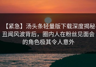 【紧急】汤头条轻量版下载深度揭秘：丑闻风波背后，圈内人在粉丝见面会的角色极其令人意外