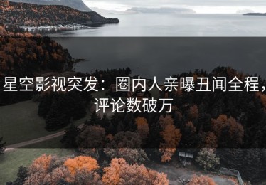星空影视突发：圈内人亲曝丑闻全程，评论数破万