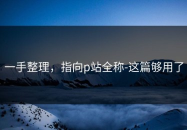 一手整理，指向p站全称-这篇够用了