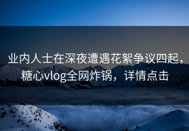 业内人士在深夜遭遇花絮争议四起，糖心vlog全网炸锅，详情点击