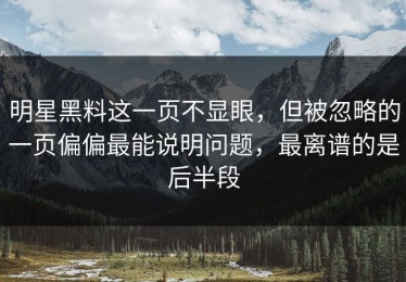 明星黑料这一页不显眼，但被忽略的一页偏偏最能说明问题，最离谱的是后半段
