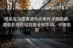 明星在深夜遭遇热点事件浮想联翩，蘑菇影视在线观看全网炸锅，详情围观
